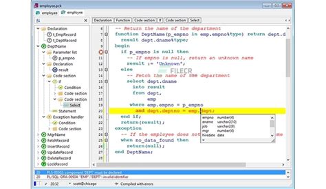 Image result for PL SQL Developer Allround Automations