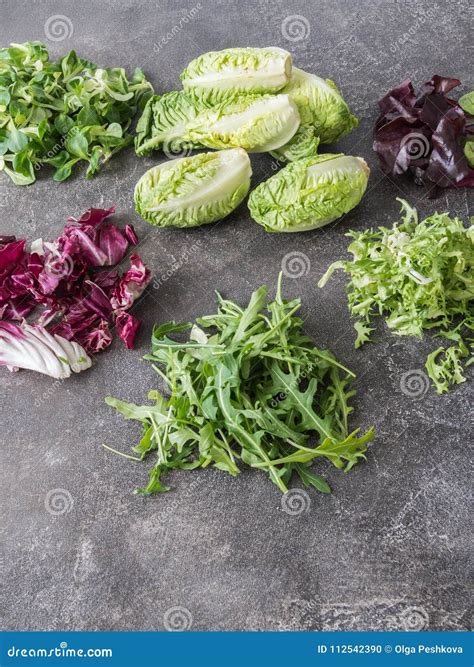 Various Types of Salad Leaves on a Grey Background. Stock Photo - Image ...
