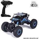 Buy higadget Dirt Drift Waterproof Remote Controlled Rock Crawler RC ...