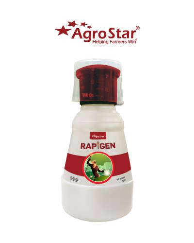 AgroStar AgroStar Rapigen (Chlorantraniliprole 18.5% SC ) 10 ml - Agrostar
