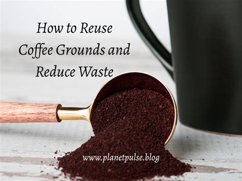 How to Reuse Coffee Grounds and Reduce Waste - Planet Pulse