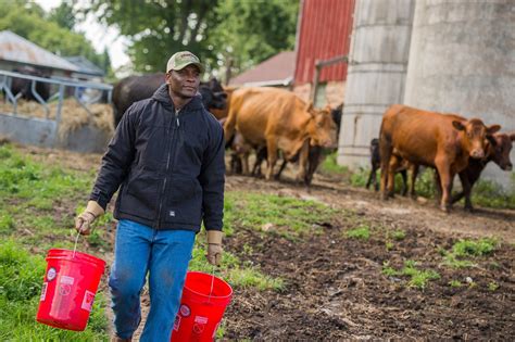 TRACTOR SUPPLY CO. - 803 Martin St S, Pell City AL - Hours, Directions, Reviews - Loc8NearMe