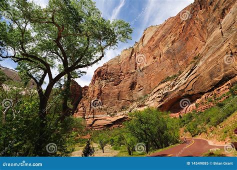 Virgin River Gorge Zion NP stock image. Image of road - 14549085