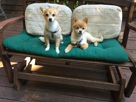REDWOOD CROFT (Santa Cruz) - B&B Reviews & Photos - Tripadvisor
