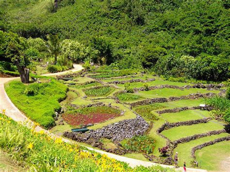 Limahuli Botanical Garden, Kauai, Hawaii | Kauai activities, Kauai ...