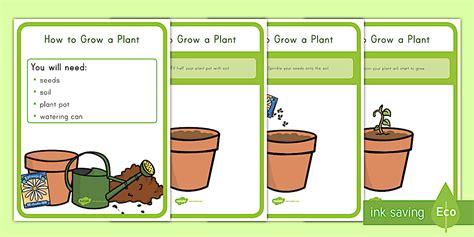 How to Grow a Plant Posters