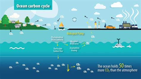 Methane gets oxidized to CO2, the way food gets digested to feces , the ...