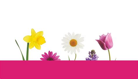 Creative Visiting Cards for Florists | High-Quality Printing Available