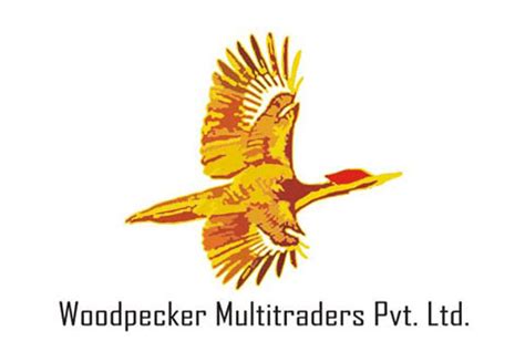 Logo Design/Designers Protfolio, Logo Designing Protfolio in India, Delhi