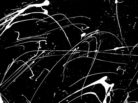 Black And White Paint Splat Free Stock Photo - Public Domain Pictures