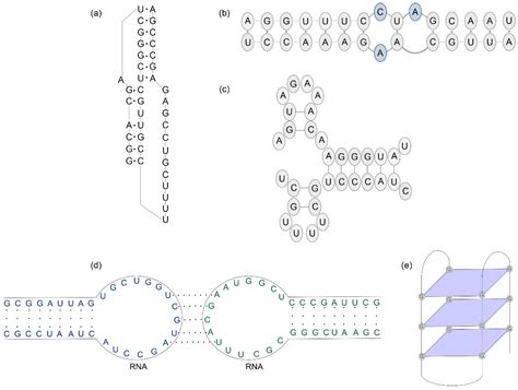 Examples of Structural Motifs in Viral Genomes and Approaches for RNA ...