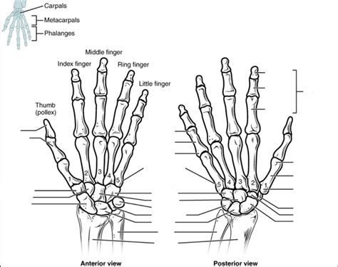 Image result for Hand Labeling
