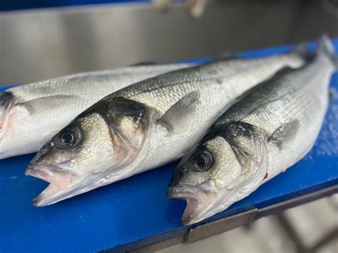 Fresh John Dory | Hamiltons Fish | Wild-Caught & Delivered UK