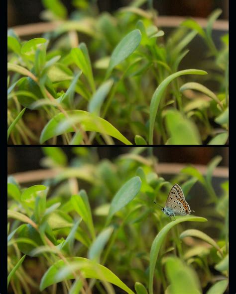 #flomad #flomadlabs #flomadr #adobe #abobephotoshop #ai #aiart #adobeai | Flomad Labs R&D