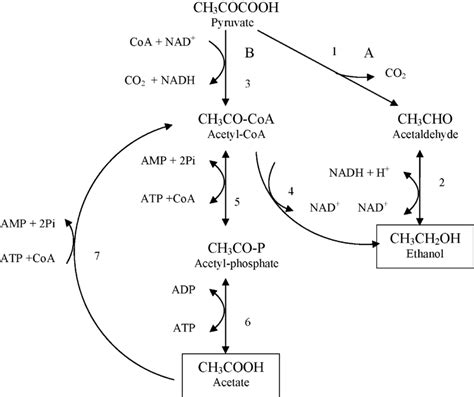 Image result for Java Interface UML Diagram