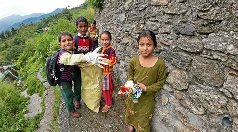 The Transformative Power Of Nature Education | Nature inFocus