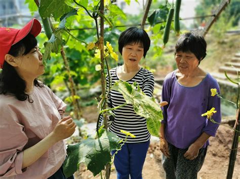 泸州江阳区来了11名特派员 教你如何种植瓜果蔬菜_四川在线