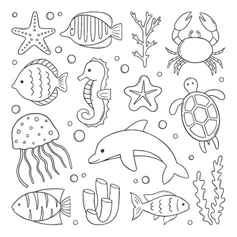 Premium Vector | Hand drawn set of Fish and wild marine animals doodle ...