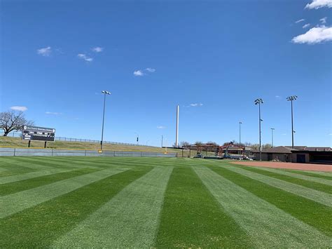 Sport D Field 的图像结果