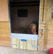 Image result for Field Shelters for Shetland Ponies