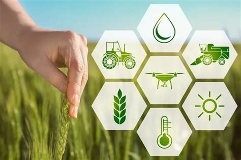 2019年中国农业科技进步贡献率达到59.2%|农业科技_新浪科技_新浪网
