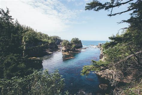 Washington 的图像结果