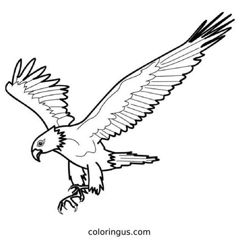 Eagle Coloring Pages (Free Printable PDF)