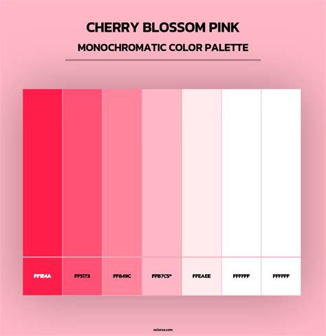 Cherry Blossom Pink color palettes - colorxs.com