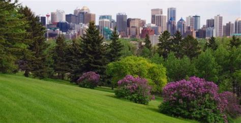Image result for Calgary Spring Weather