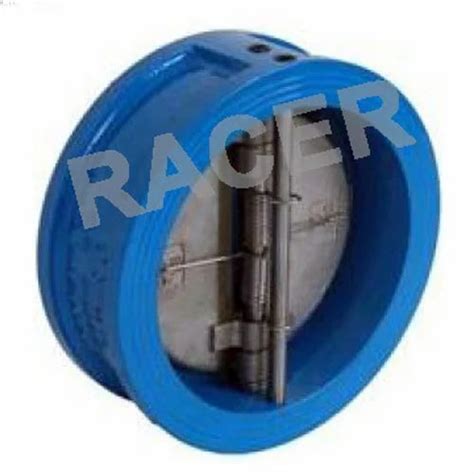 CS Check Valve - Sandwich Type CS Check Valve Manufacturer from Ahmedabad