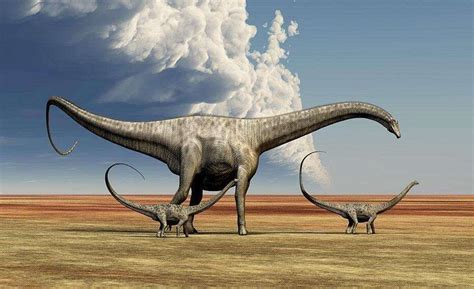 世界上真的有恐龙吗，有(现在还存在经过进化演变的恐龙)— 爱才妹生活