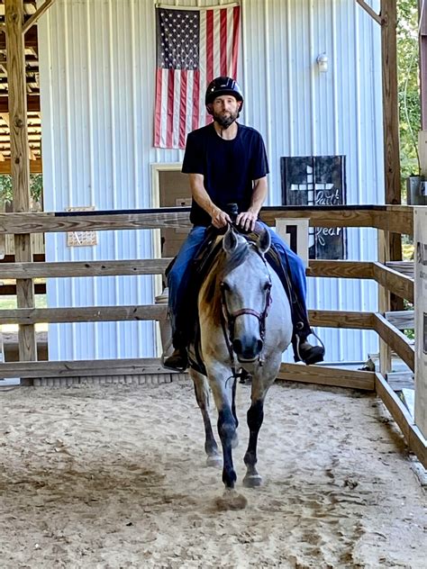 Designed By Faith Equestrian