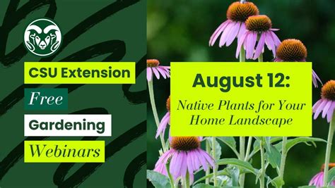 Showstoppers and Habitat Heroes: Native Plants for your Home Landscape ...
