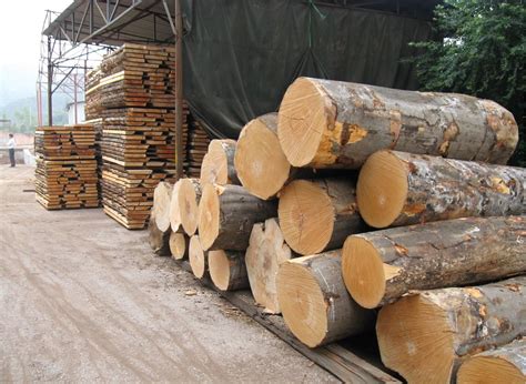 Timber Factory Wood Wood Timber Market Wood Industry Picture And HD ...