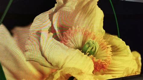 Image result for LED Wall Module