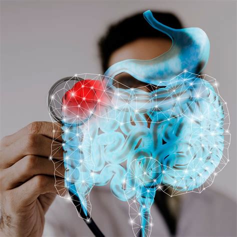 Gastrointestinal Protozoal Infections | Intestinal Infection | Stomach