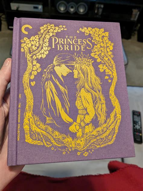 Image result for Princess Bride Movie Inconceivable