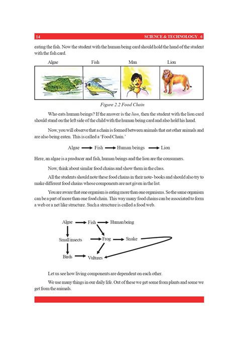 Class 6 Science Book 的图像结果