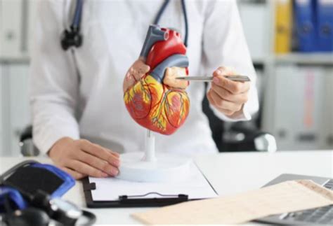 Cardiac Rehabilitation in Pune: Rebuilding Heart Strength Safely ...