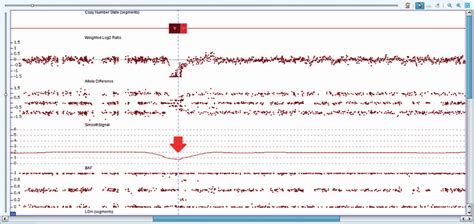 Image result for CytoScan Microarray OncoScan