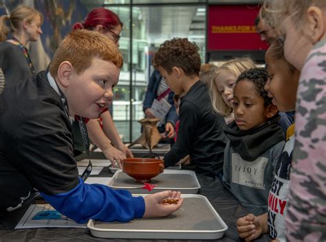 A Guide to Careers in Museums and Galleries - Kids in Museums