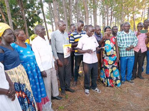 Shine FM - Ryeny Ba Acer (Shine Like A Star)