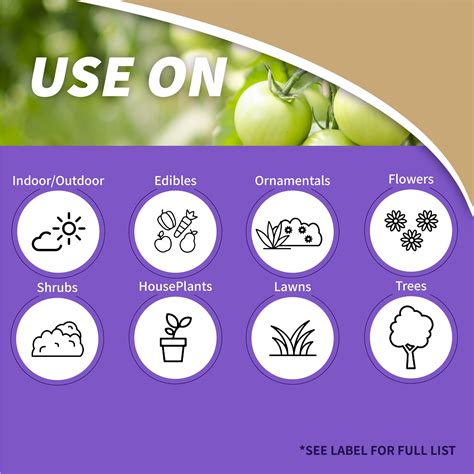 Snapklik.com : Captain Jack Copper Fungicide 16 Oz Concentrated Plant ...