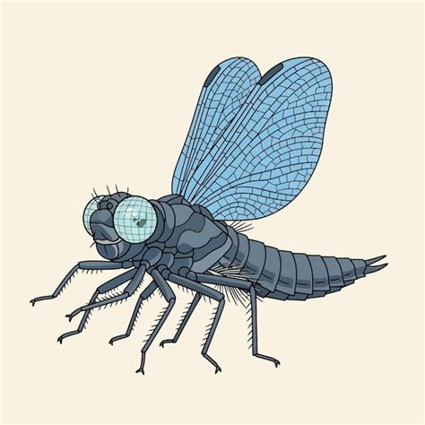 Page 5 | Giant fly Vectors - Download Free High-Quality Vectors from ...
