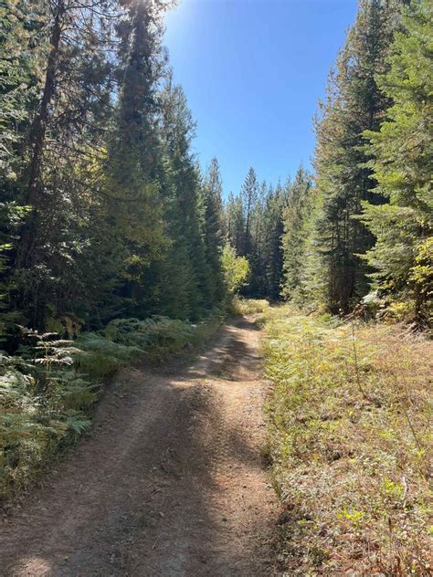 USFS 8234 Mid-Section, Idaho - GPS Trail Map, Conditions & Difficulty ...