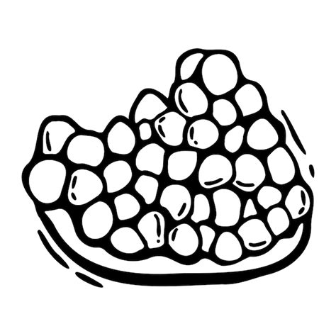 La pulpe juteuse du fruit de la grenade avec des graines Vector ...