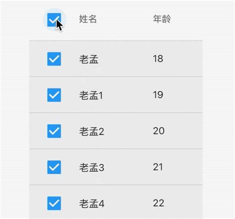 DataTable with Foto 的图像结果