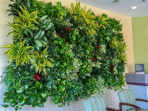 Indoor Living Wall