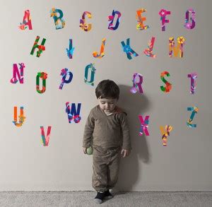 wildartcreation 110 cm Flowers and Butterfly Self Adhesive Sticker ...