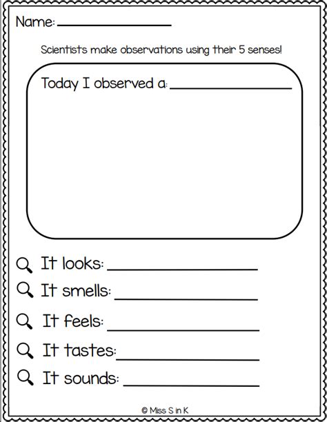 Image result for Kindergarten Observation Examples